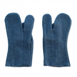 Pair of mittens